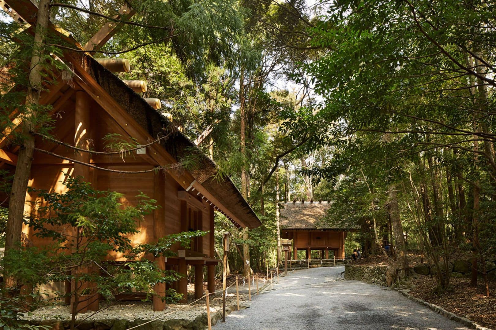 Amanemu