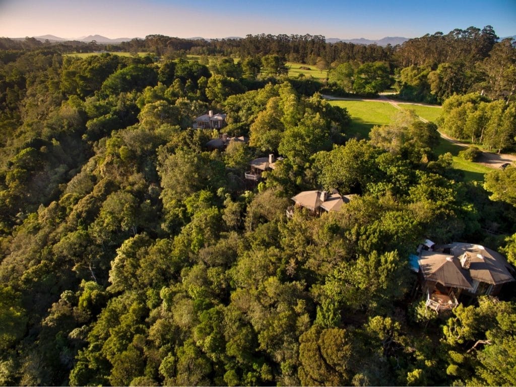 Tsala Treetop Lodge